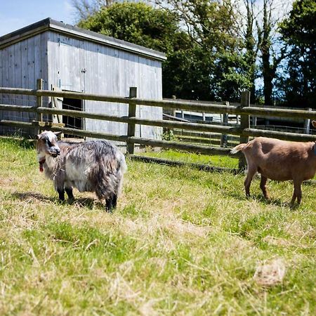 Sharlands Farm Holiday Cottages Bude Kültér fotó