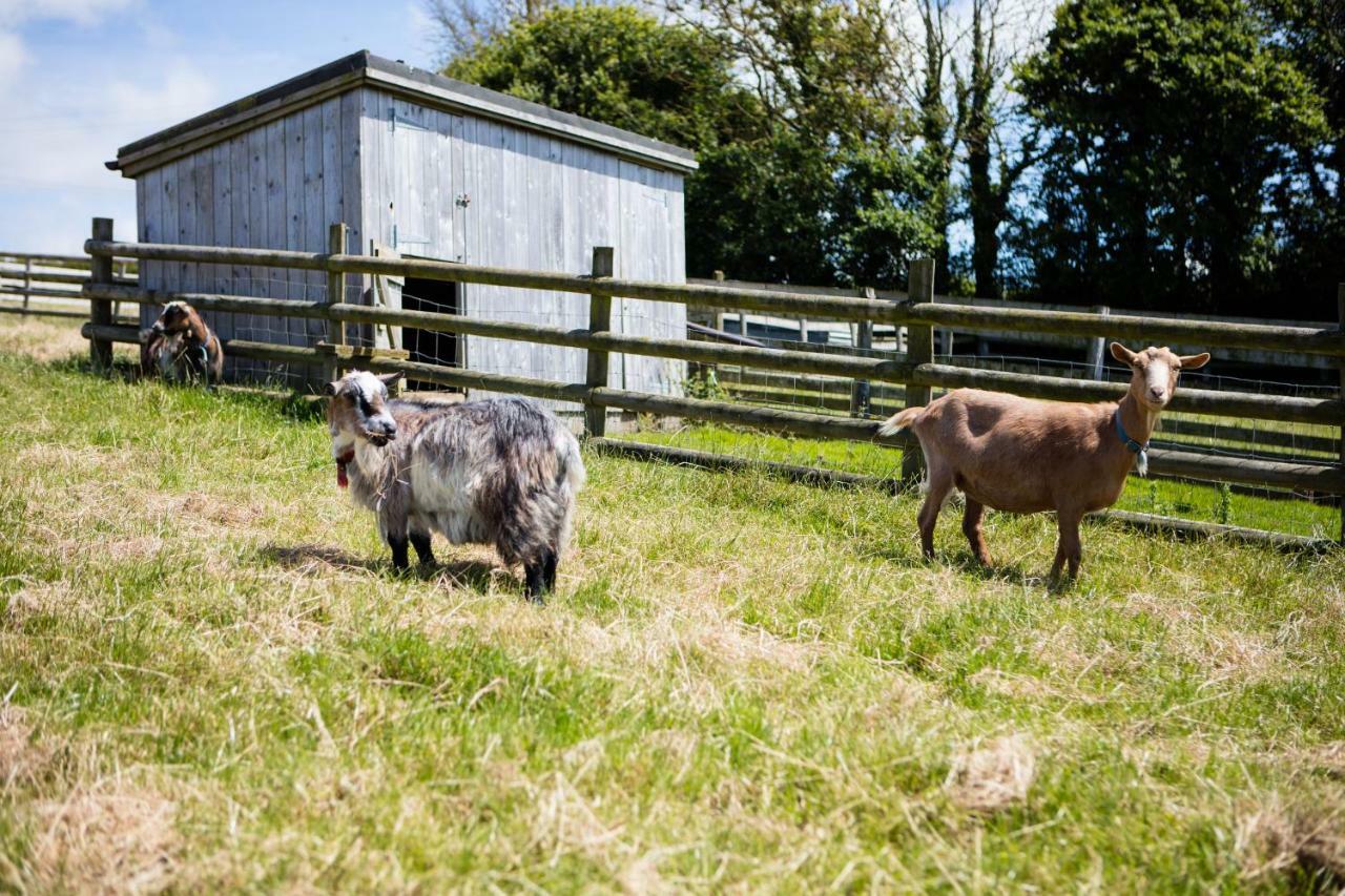 Sharlands Farm Holiday Cottages Bude Kültér fotó
